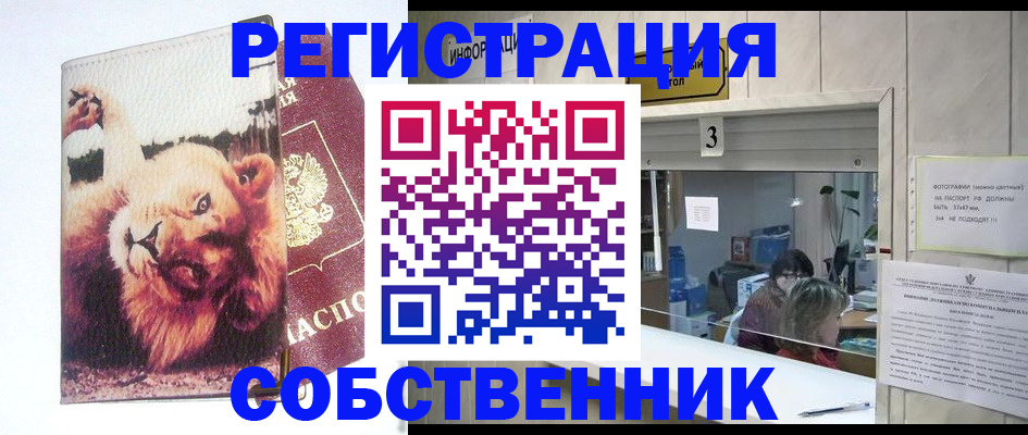 прописка поиск в Сланцах